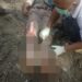 Seorang Pria Tanpa Identitas Ditemukan Tak Bernyawa di Abepura