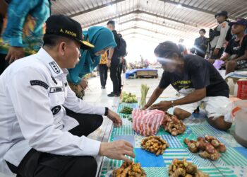 Pj Gubernur Papua Agus Fatoni Tinjau Pasar Aroro-Iroro, Pastikan Harga Bahan Pokok Stabil