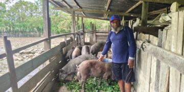 Kepala Suku Dani Sem Wanimbo Sampaikan Terima Kasih kepada Presiden Prabowo Subianto atas Bantuan Pemberdayaan Ekonomi