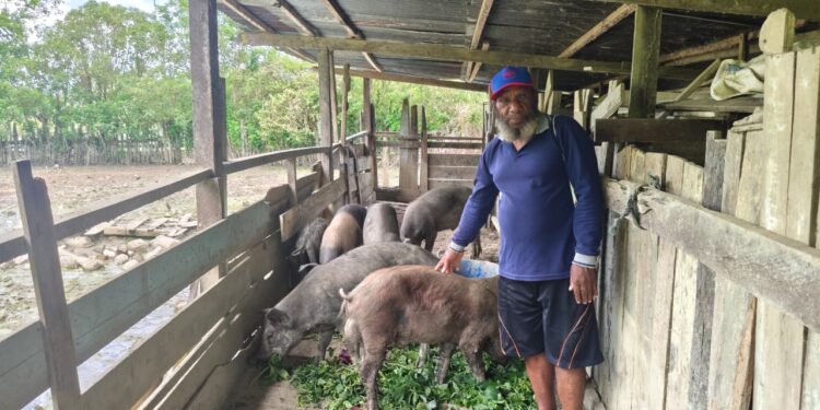 Kepala Suku Dani Sem Wanimbo Sampaikan Terima Kasih kepada Presiden Prabowo Subianto atas Bantuan Pemberdayaan Ekonomi