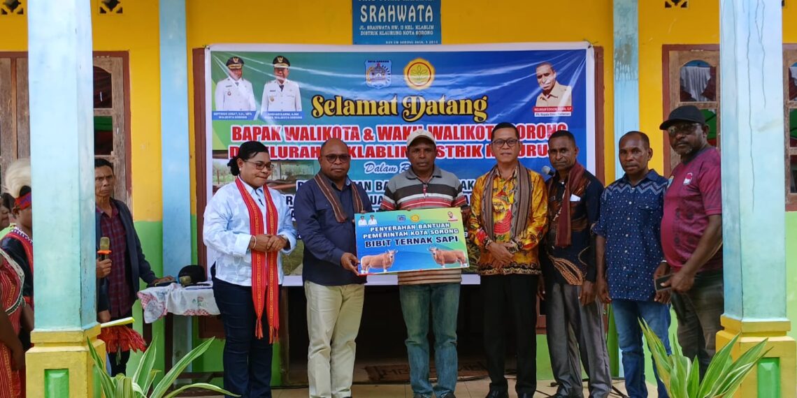 Pemkot Sorong Serahkan 40 Ekor Sapi dan Alsintan untuk Meningkatkan Kesejahteraan Masyarakat OAP di Distrik Kalurung dan Sorong Timur