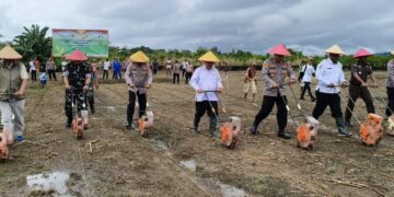 Polri Pimpin Penanaman Jagung Serentak di Nabire untuk Mendukung Swasembada Pangan 2025