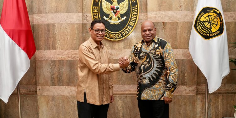 Sinergi Pusat-Daerah: Gubernur Papua dan Wamen ESDM Bahas Percepatan Pembangunan di Bumi Cenderawasih