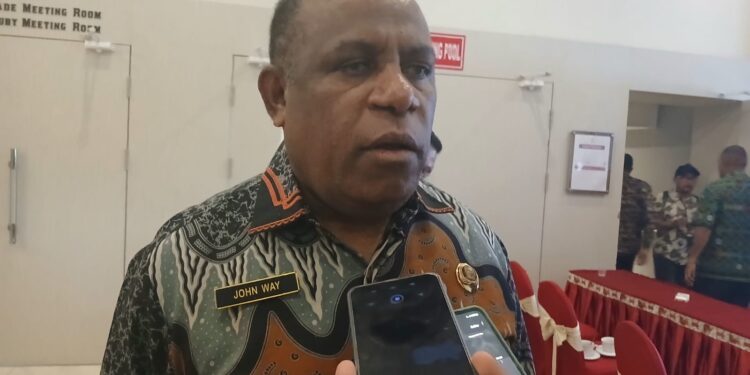 Papua Barat Daya Genjot Investasi, Koordinasi Daerah Jadi Kunci Utama
